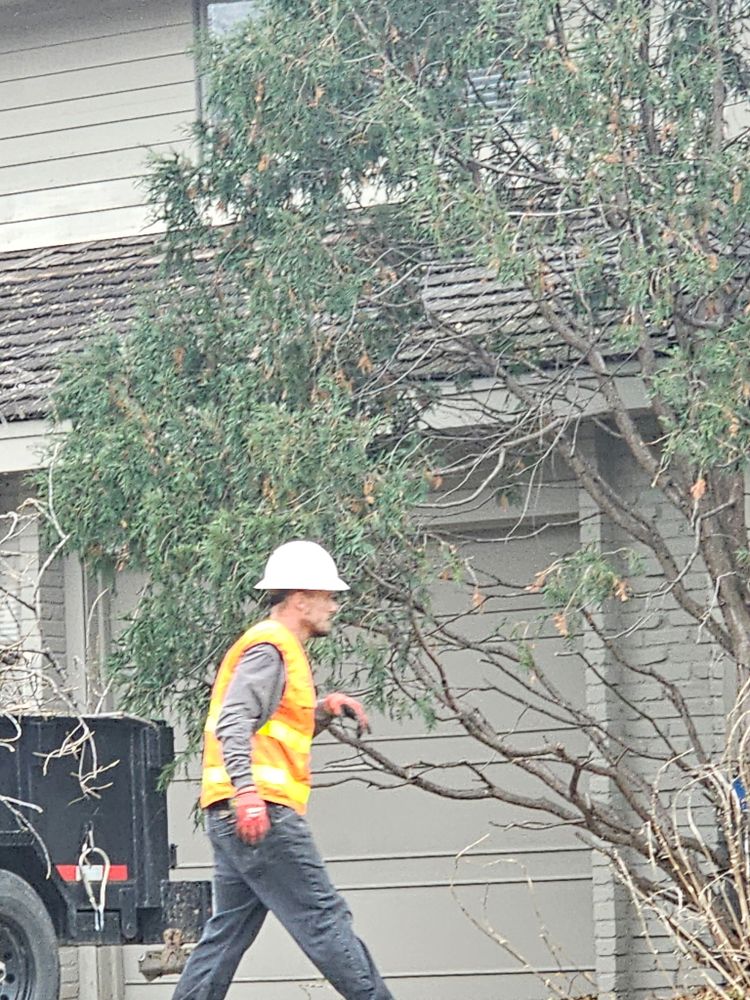 All Photos for Minnesota Seasonal LLC in Corcoran, MN