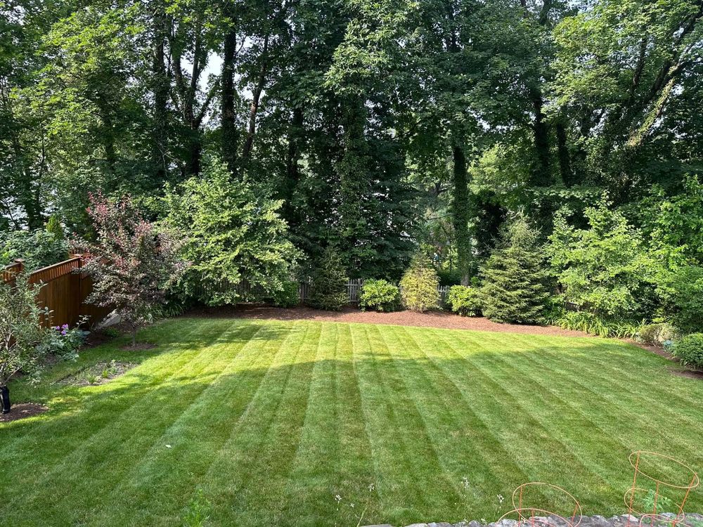 All Photos for Saavedra & Sons Landscaping in Waltham, MA