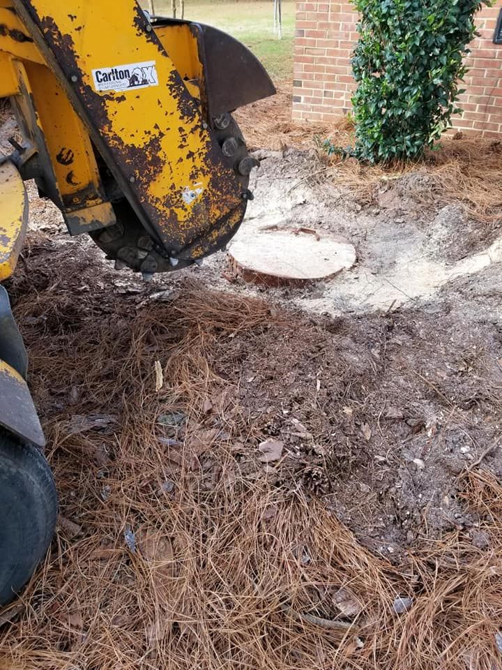 Our Stump Removal service efficiently eliminates unwanted stumps, enhancing your landscape's beauty and safety while preventing pest infestations. Let our experts restore your yard's appearance with minimal disruption and professional care. for Kingdom Riderz Hauling And Tree Service in Tar Heel, NC