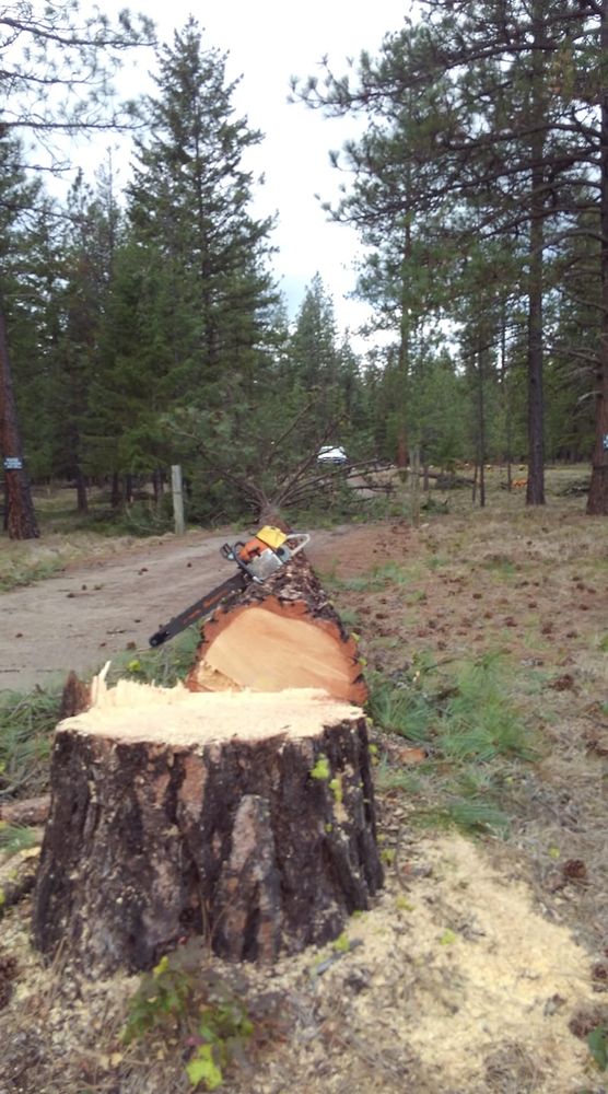 All Photos for Ekstedt Tree Services in Troy, MT