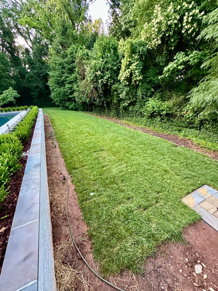 Transform your residential or commercial property with our professional sod installation services. Installation of sod is the perfect way to get a lush green healthy lawn, almost instantly! for Malboeuf Landscaping, Inc in Kernersville, NC