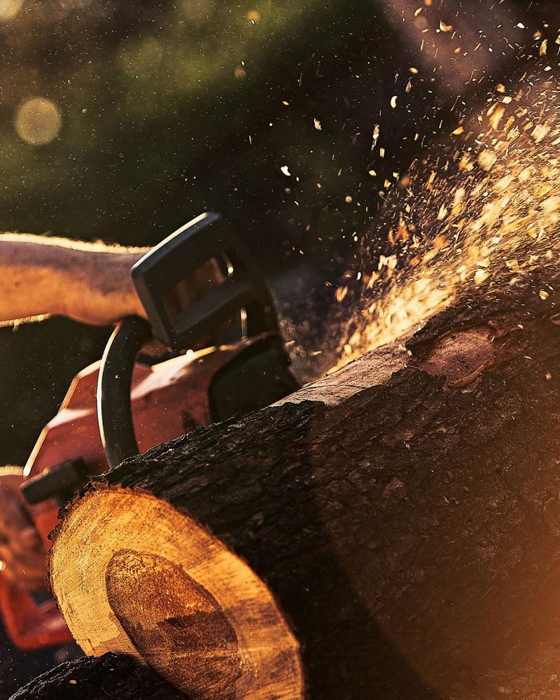 All Photos for Oakwood Tree Removal LLC in Oak Creek,  WI