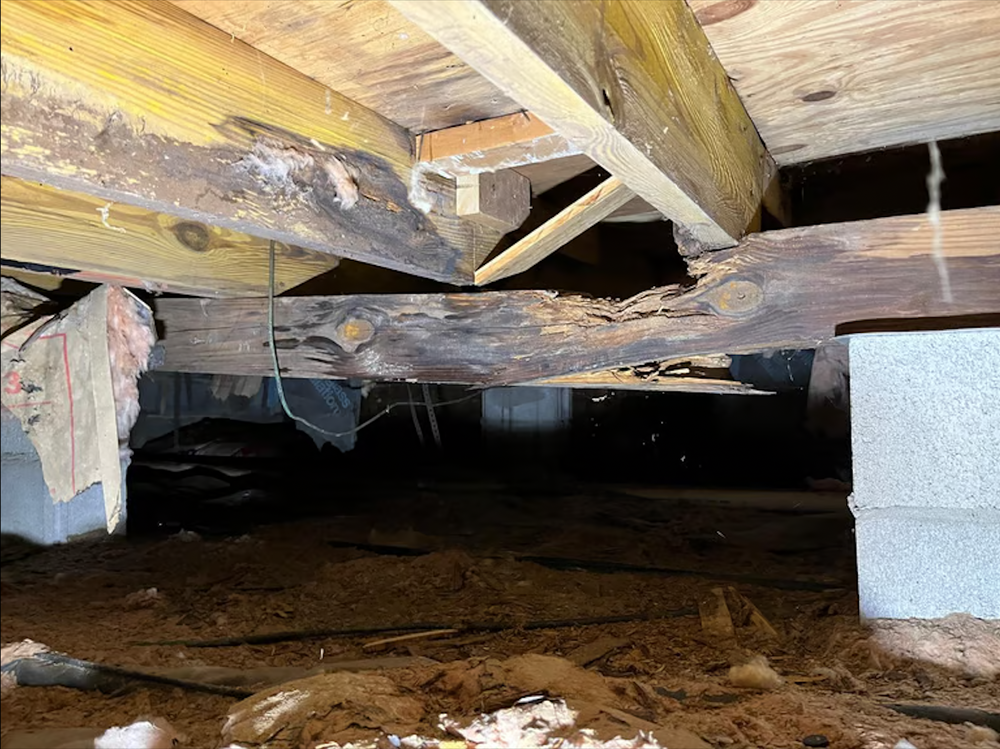 Our Structural Repairs service restores damaged foundations, walls, and supports, addressing cracks and instability caused by water intrusion. We strengthen your home’s structure to ensure lasting safety, stability, and peace of mind. for ABC Service Company, LLC in Virginia Beach, VA