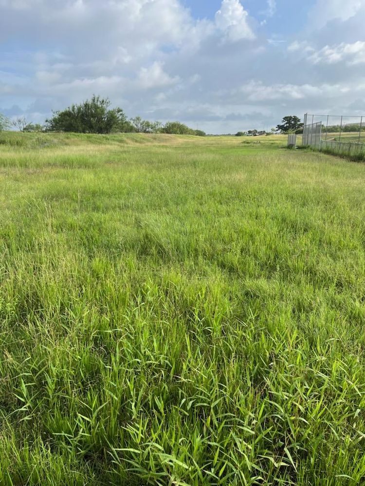 All Photos for Oviedo Land & Garden in Bastrop, TX