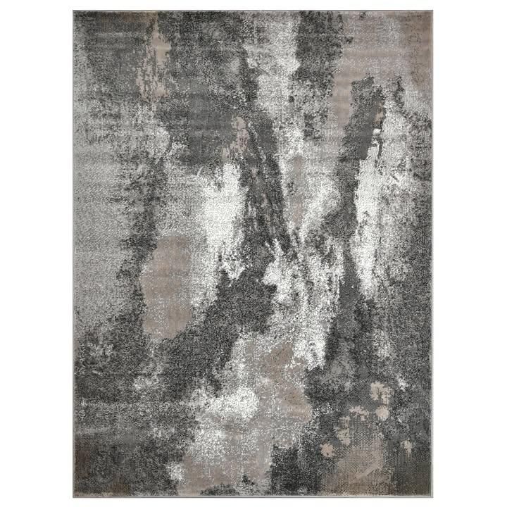 All Photos for Maxwell Area Rugs  in Albuquerque, NM