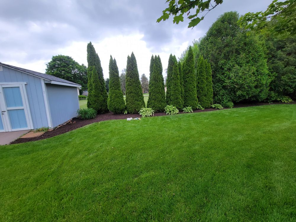 Our Shrub Trimming service will enhance the curb appeal of your property by shaping and maintaining the overall health of your shrubs, resulting in a beautifully manicured landscape. for Austin's All Season's Services LLC in Watertown, WI