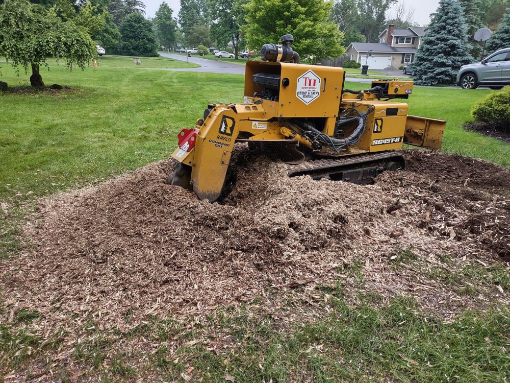 All Photos for TH Property Service, LLC in Manlius, NY