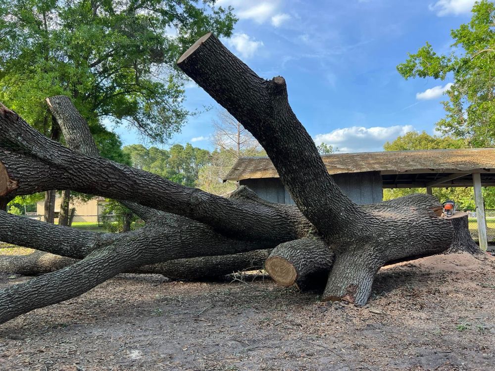 Lawn Maintenance for Duck's Lawn & Tree Service, LLC. in Lakeland, FL