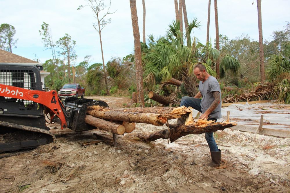 Tree Removal for American Tree Masters in Alvin, TX