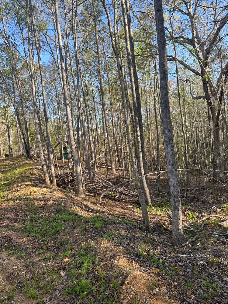 All Photos for A.P Land Management in Atlanta, Ga