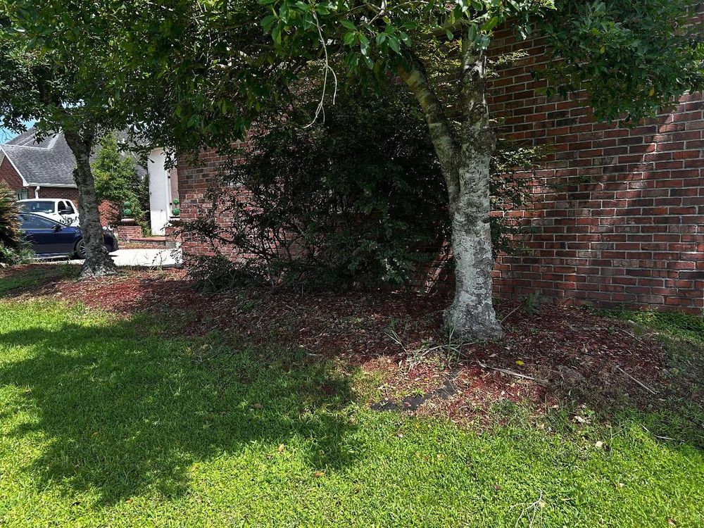 All Photos for Jay C’s Touch Landscaping & Pressure Washing Services LLC in Marrero, LA