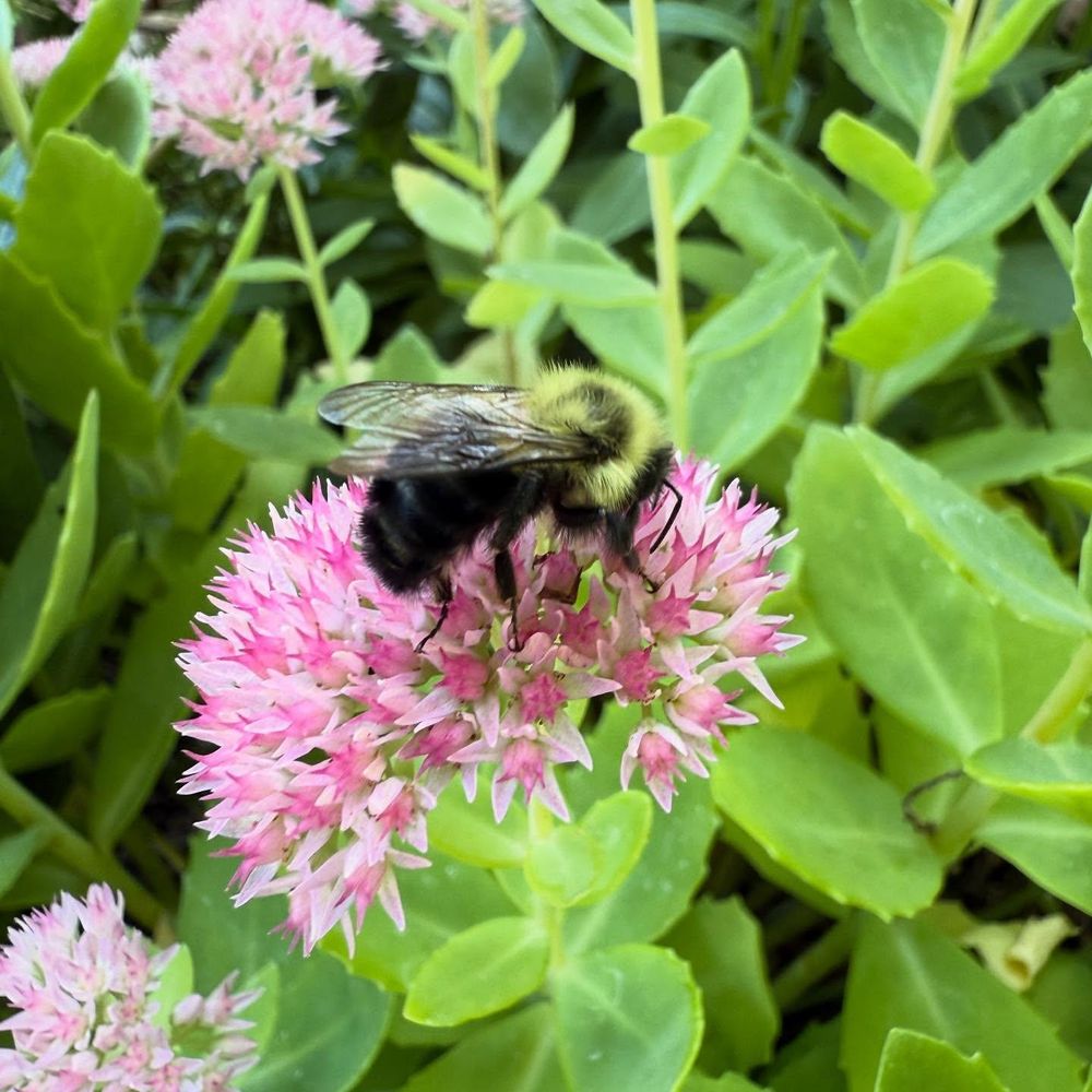 All Photos for RI Outdoor Living  in Charlestown, Rhode Island