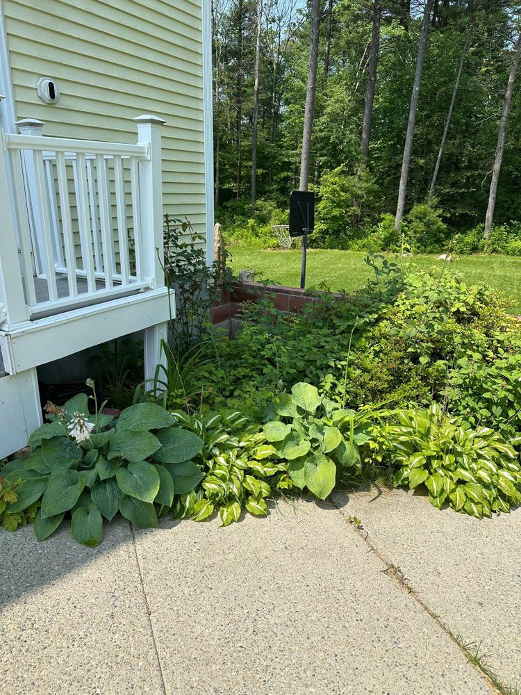 All Photos for Silver City Tree and Landscape in Taunton, MA