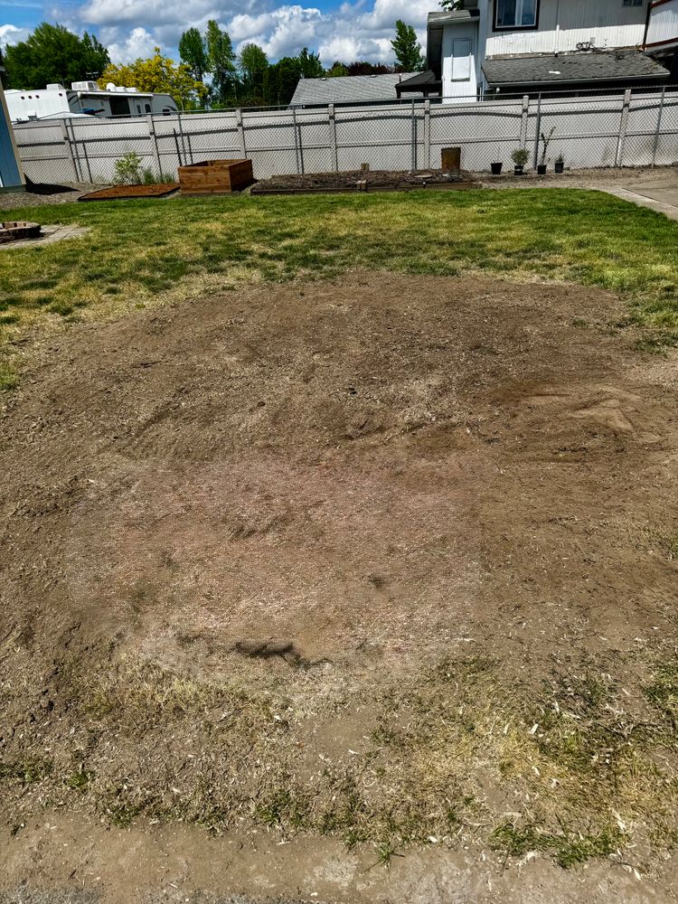 All Photos for Willamette Landscaping & Tree Services in Albany, OR