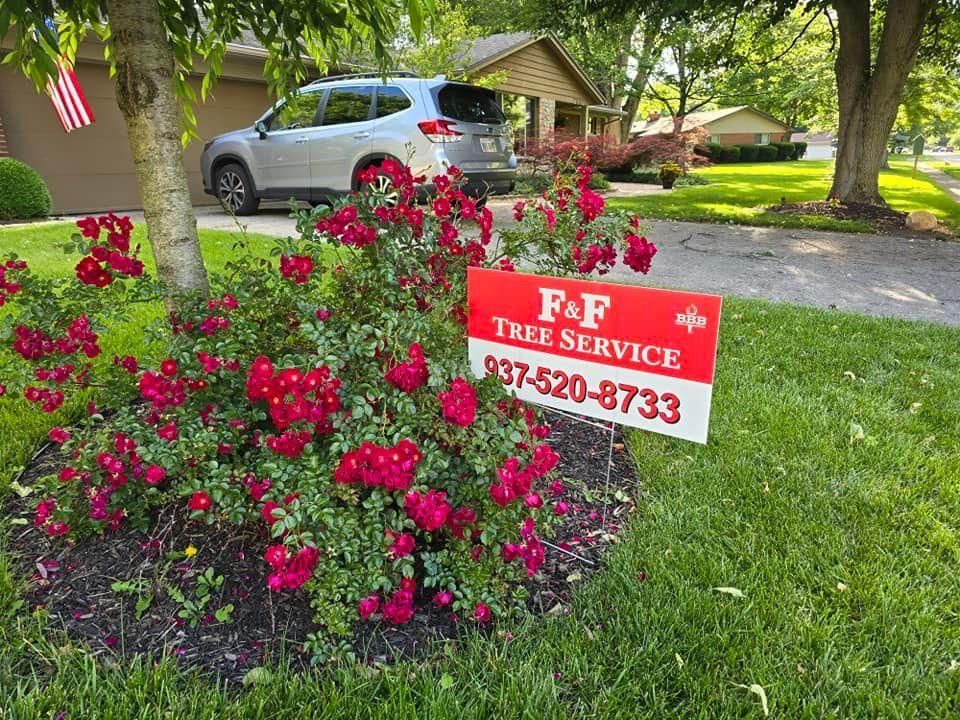 All Photos for F & F Tree Service in Beavercreek, OH