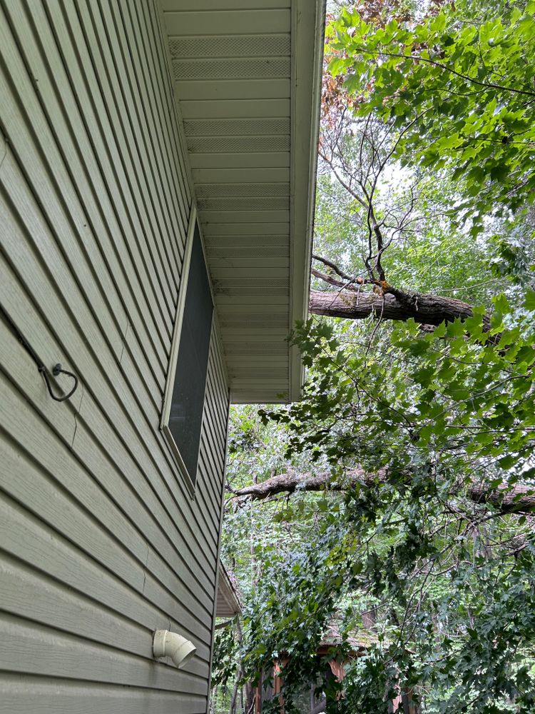 All Photos for Allstate Tree Service in Fridley, MN