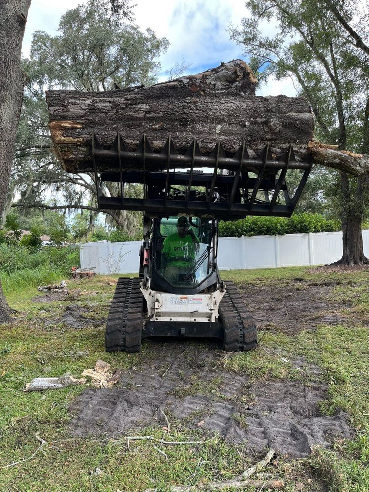 All Photos for Bills Tree Service in Valrico, FL