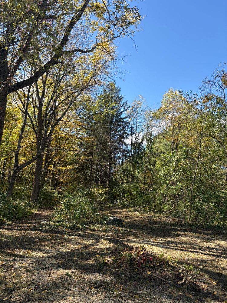 All Photos for Dig-It Tree Company in Mason, OH