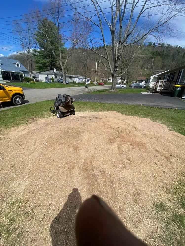 Stump grinding  for Licensed to Cut Tree Service in Athens, PA
