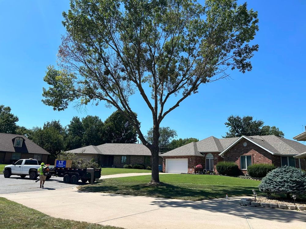 Tree Removal for Logan Tree Care LLC in Springfield, MO