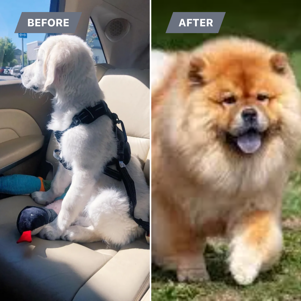 All Photos for Will's Wells in Cambridge, MA