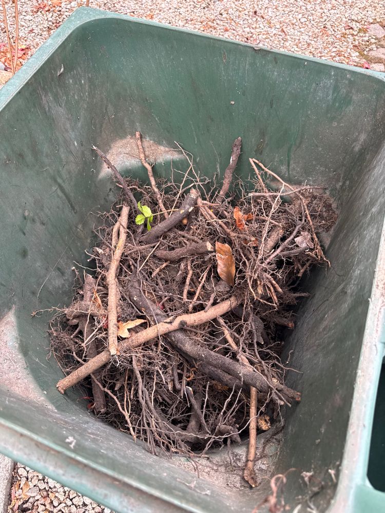 All Photos for CBA Landscaping in Hayward, CA