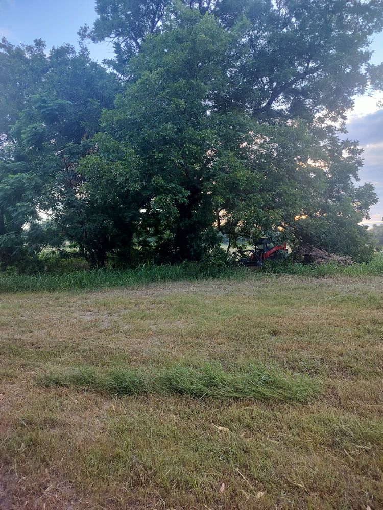 All Photos for 512 Land Clearing in Blanco County, TX