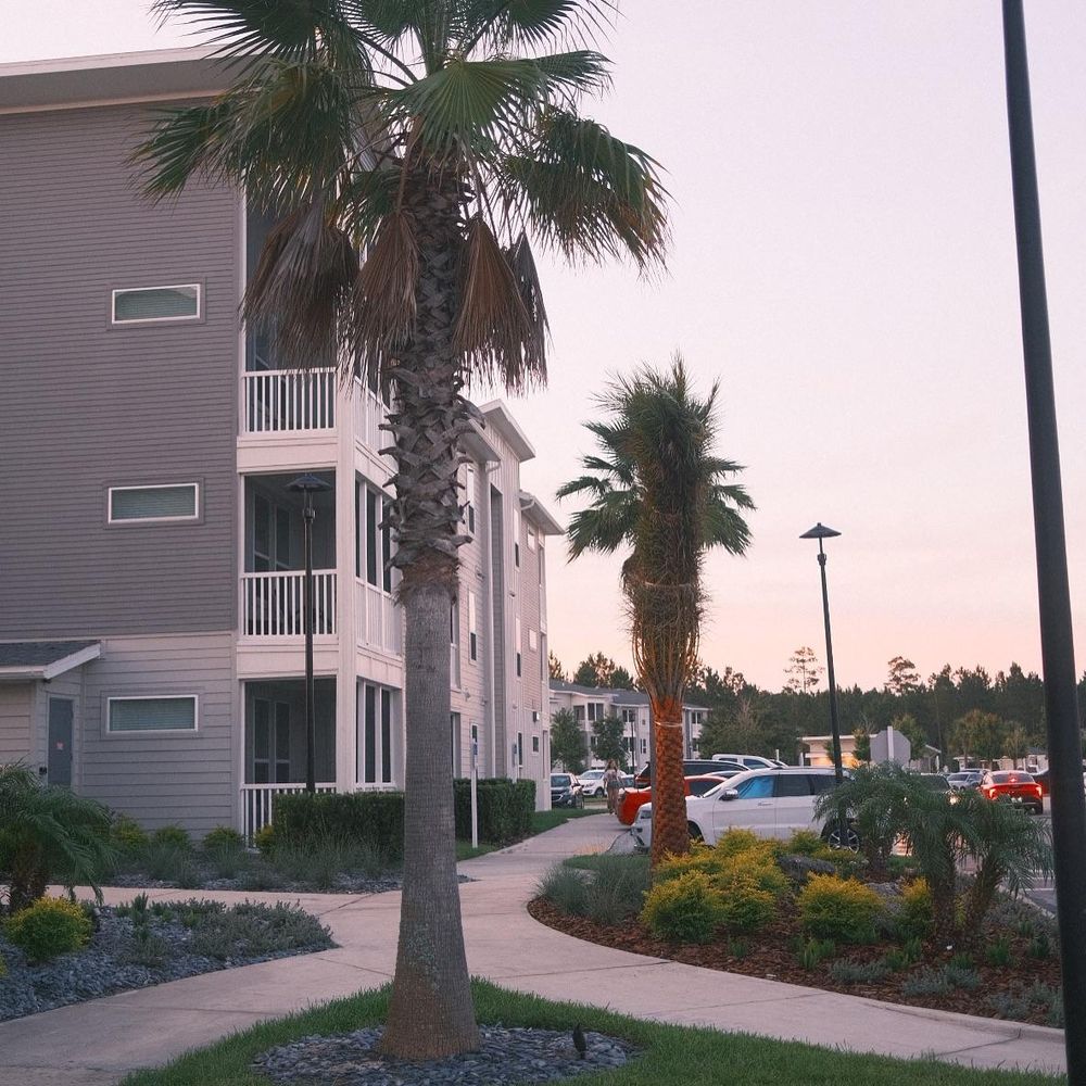 All Photos for Pro Designs Landscaping in Jacksonville, FL