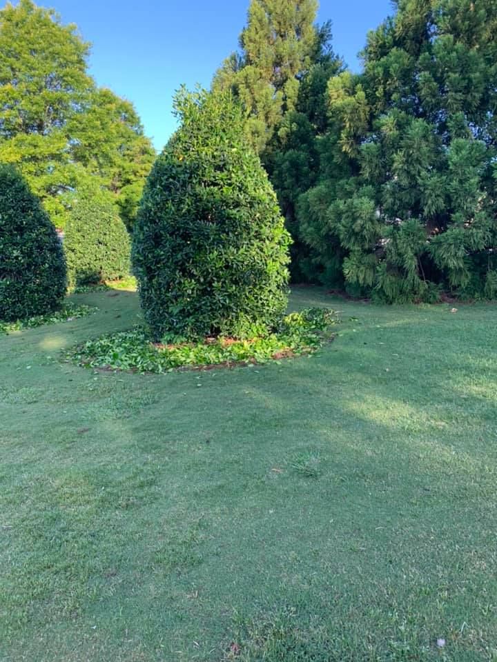 Our Weed Control service effectively eliminates unwanted plants, promoting healthier landscapes by using environmentally friendly methods to protect your garden's beauty and ensure strong growth for other desirable plants and flowers. for Bega Landscape Services in Atlanta, Georgia