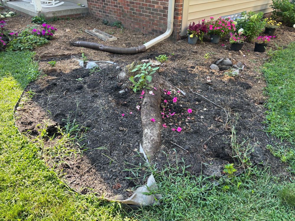 All Photos for Conrad's Stump Removal in Columbus, IN