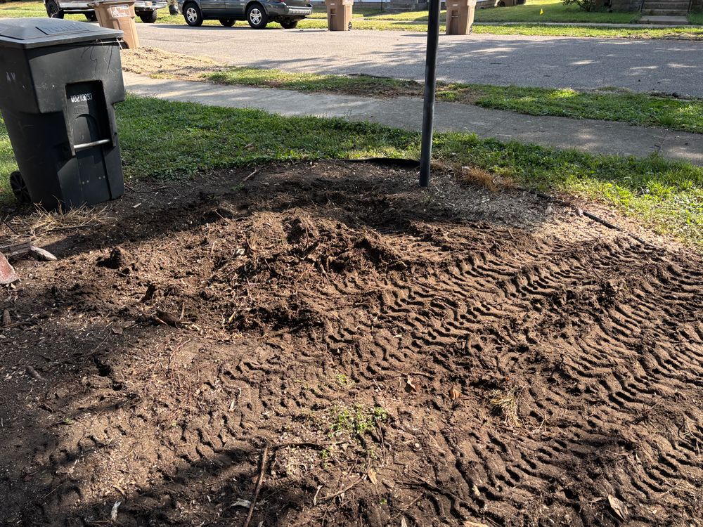 All Photos for Conrad's Stump Removal in Columbus, IN