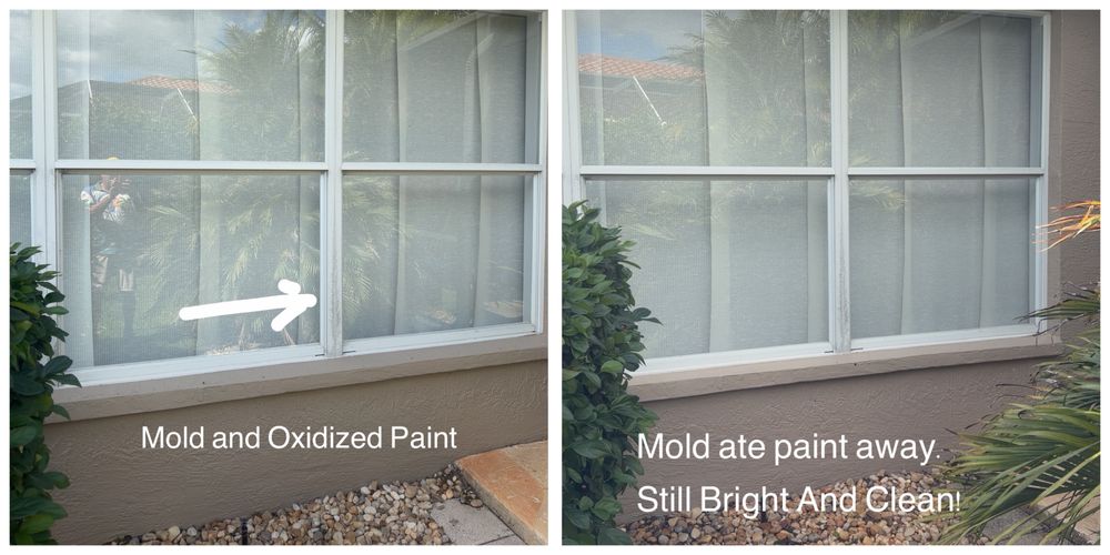 All Photos for My Soft Wash Guys in Venice, FL