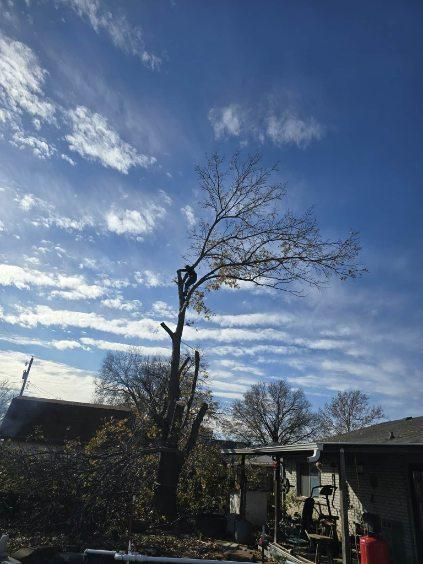 All Photos for Oklahoma Tree Guy in Bartlesville, OK