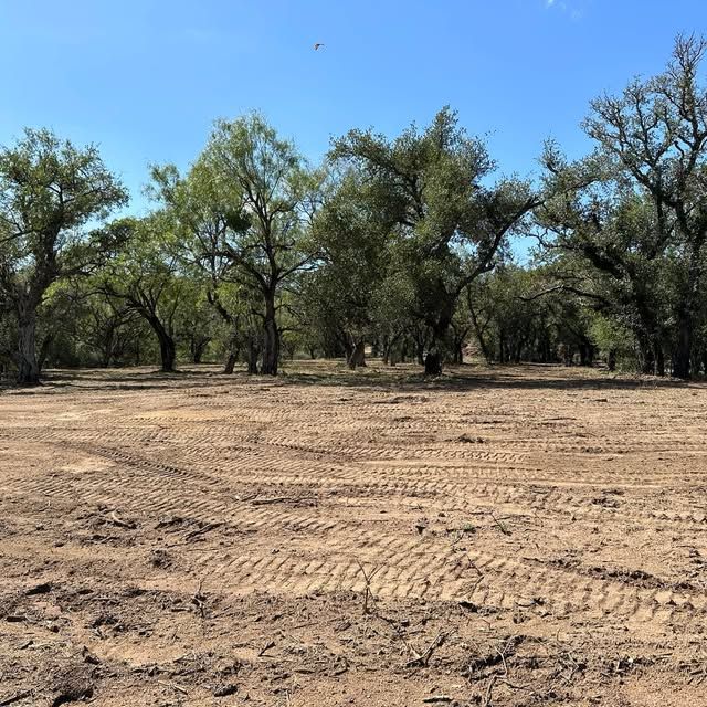 All Photos for Legends Land Clearing & Excavation in Burnet County, TX