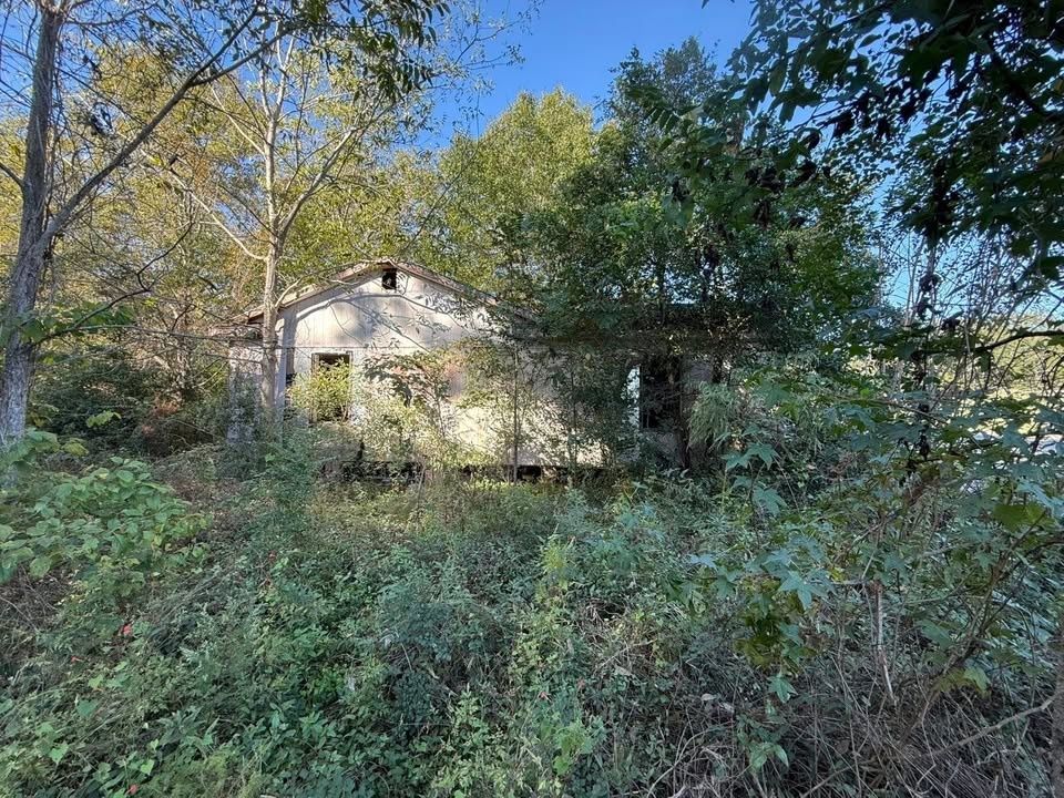 All Photos for Scalco’s Land Services in Statesboro, GA