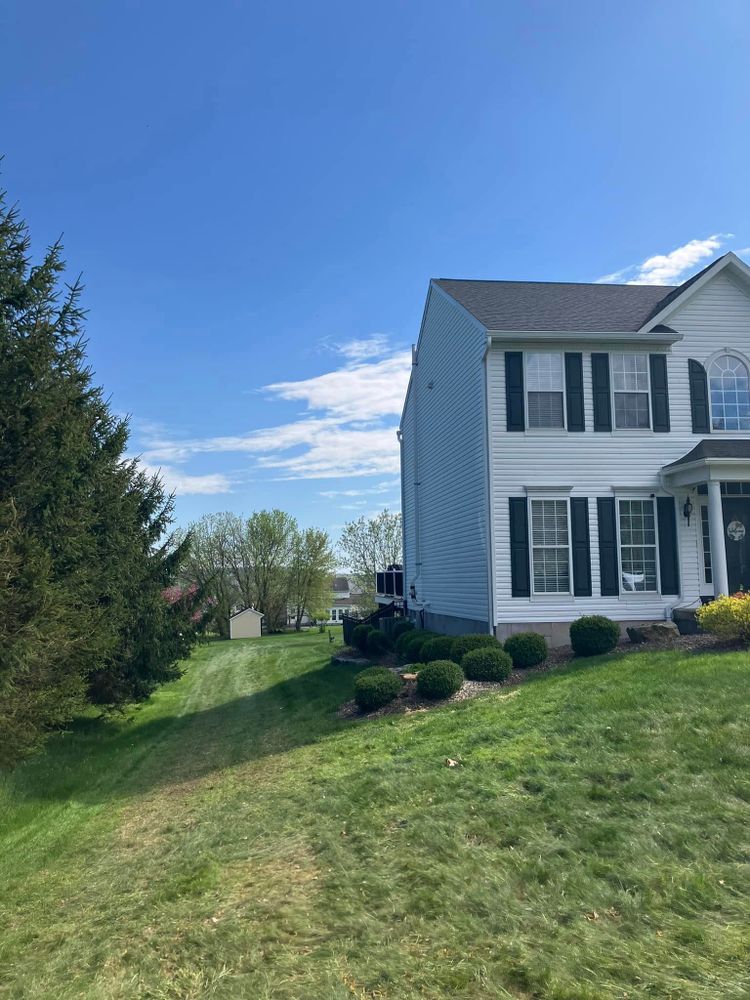 All Photos for Lovenguth Logging and Tree Service in West Monroe, NY