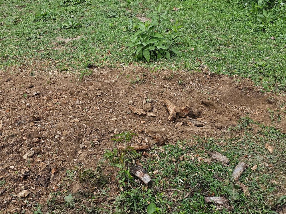 All Photos for I and R Stump Grinding in Thornville, OH