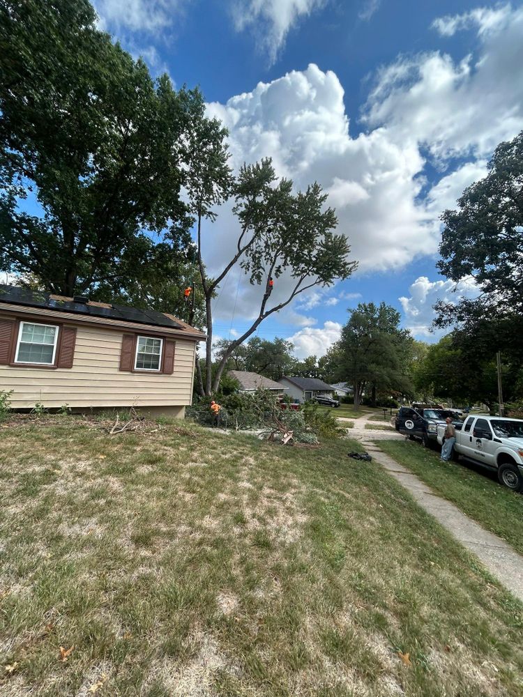 All Photos for Cross Family Tree Service in Kearney, MO