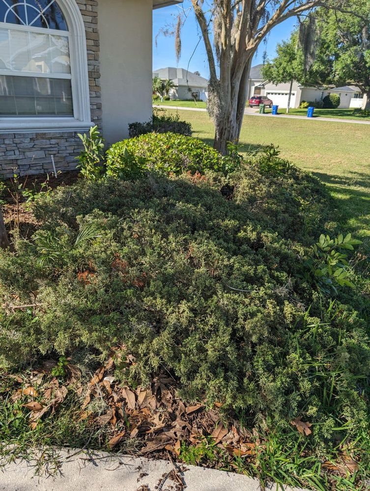 All Photos for Estrada All Pro Lawn Service in Auburndale, Florida