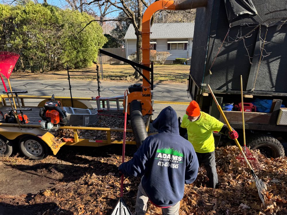 All Photos for Adams Landscaping in Springfield, MA