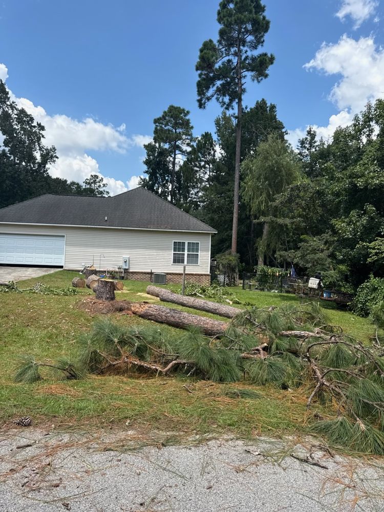 All Photos for Hawkins Tree Service & Land Management in Richmond Hill, GA