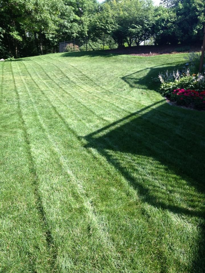 Lawn Care for Keane Lawn Care & Snow Removal in Spring Lake Park, MN