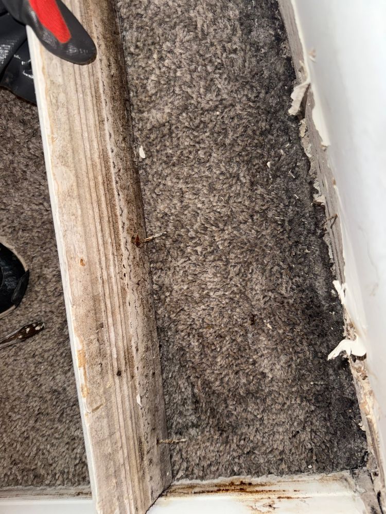 All Photos for N&D Restoration Services When Disaster Attacks, We Come In in Cape Coral,  FL