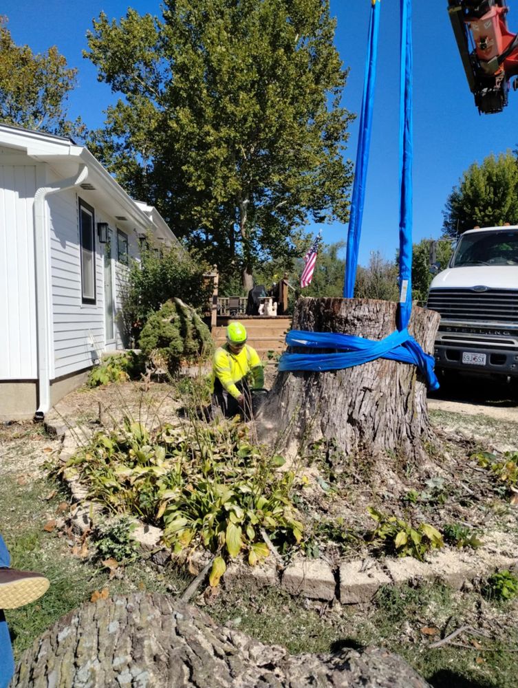 All Photos for Mitchell Tree Company in Lathrop, MO