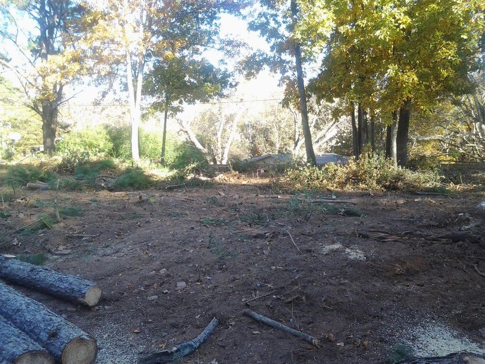 Tree Services for Wofford's Grading Clearing and Landscaping in Milton, GA