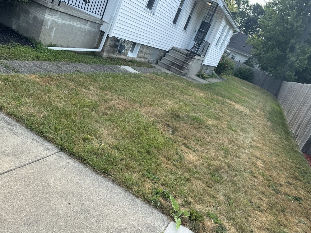 Landscaping Lawn Care for Daugherty's Tough Lawn Care in Essexville, MI