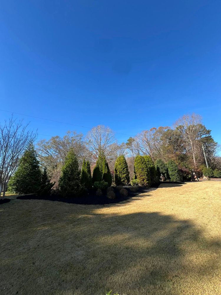 Lawn Care for Foothills Landscape Solutions LLC in Inman, SC