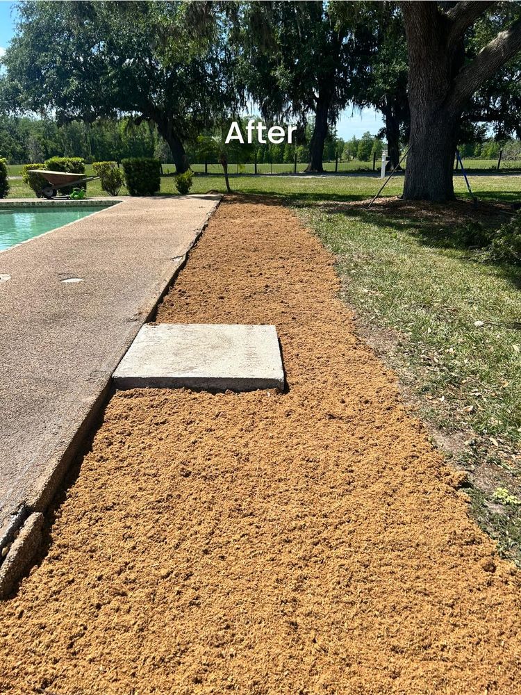 Tree Removal for Greene Acres Stump Grinding in Plant City, FL