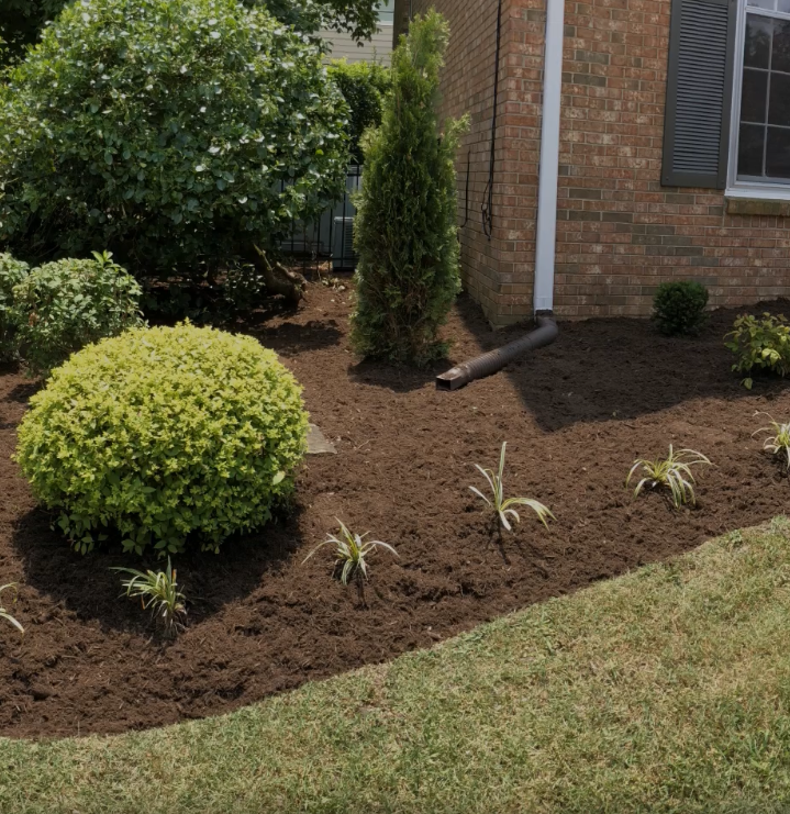 All Photos for Russell's Lawn Care Plus in Nashville, TN