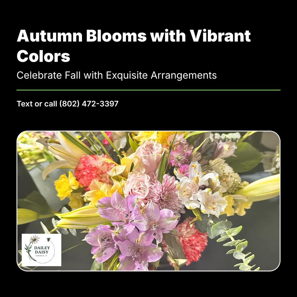 All Photos for The Dailey Daisy in Hardwick, VT